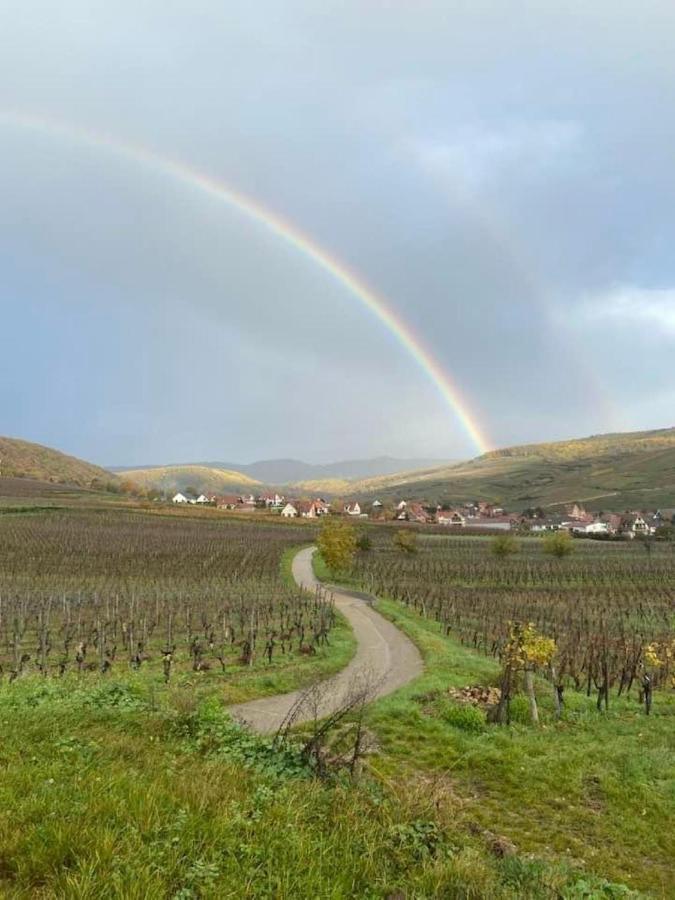 Villa Un Petit Coin D'Alsace Soultzmatt Exterior foto